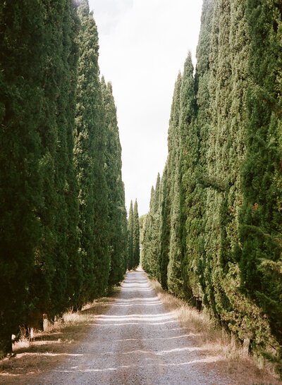 Quis nostrud exercitation ullamco laboris nisi